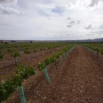Img 20240426 174455 | RECICLADOS DE ESCOMBROS EL RANCHO SL